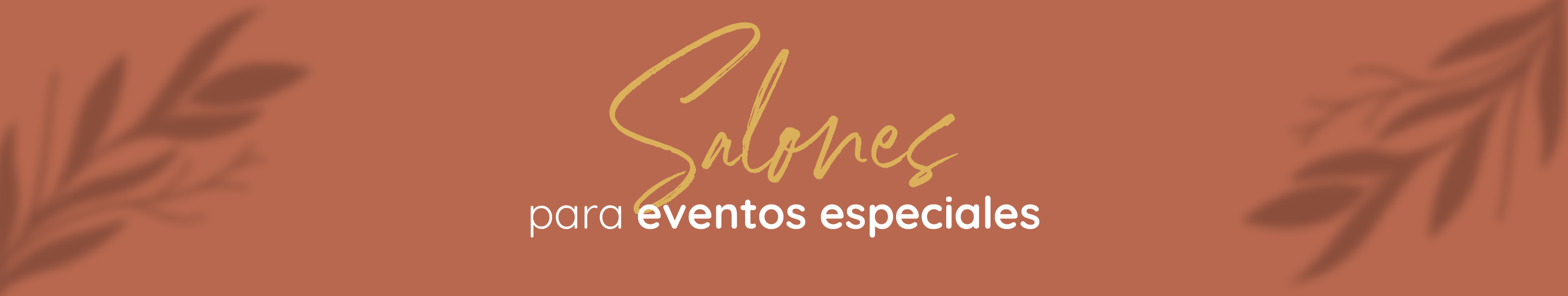 Banner Salones