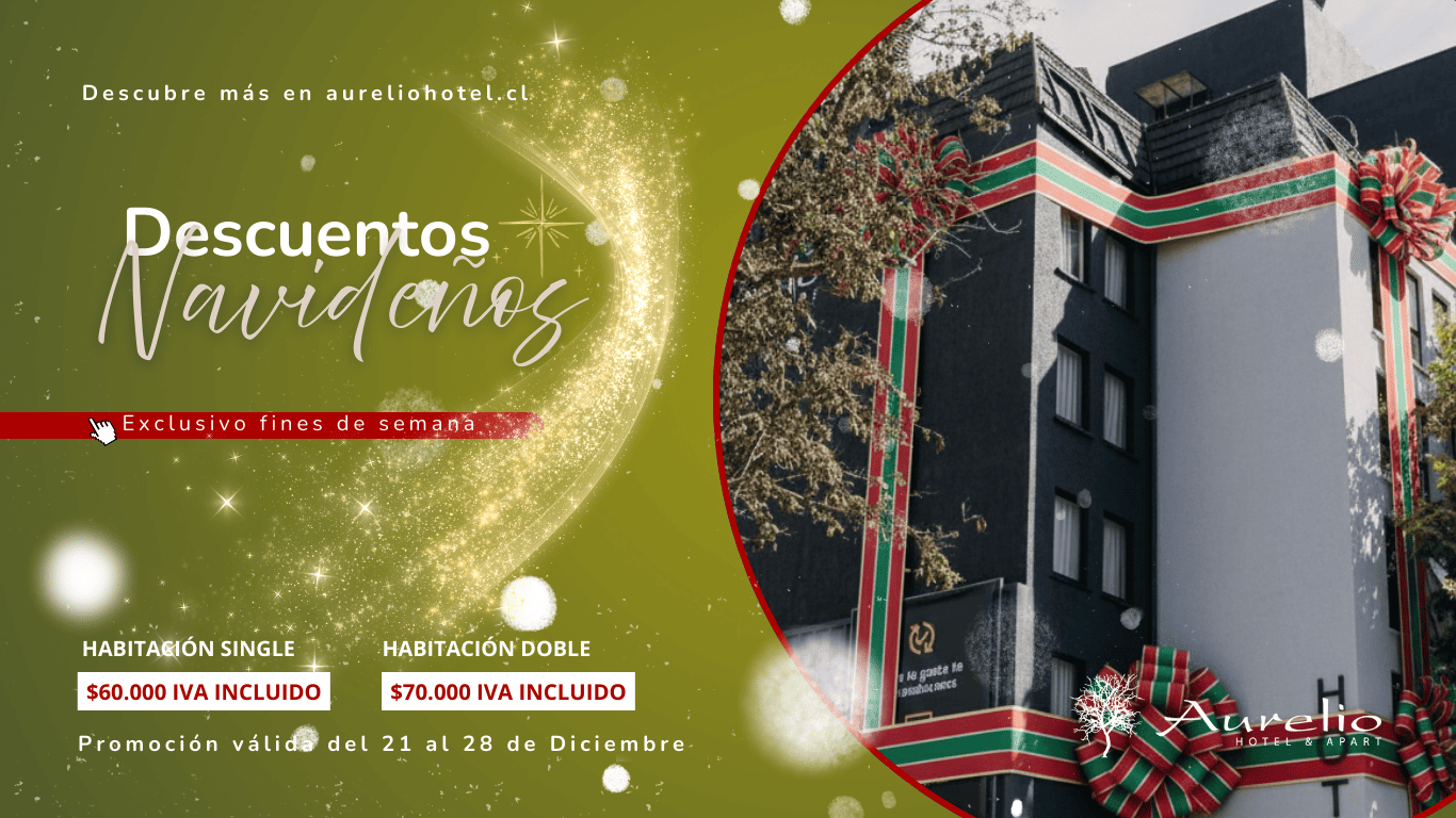 Promocion navidad